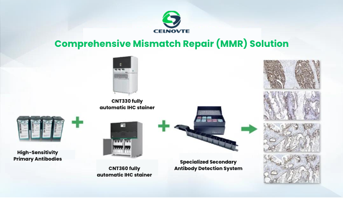 Comprehensive Mismatch Repair (MMR) Solution