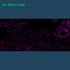 TSA Fluorophore  CM690 - Celnovte Biotechnology