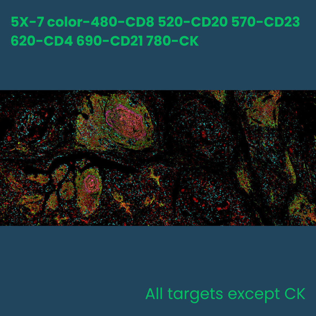 7-color multiplex fluorescence IHC detection kit